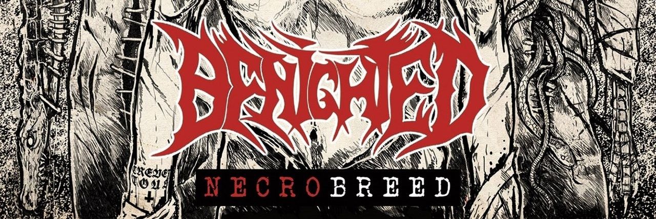 cycoporn's profile banner image