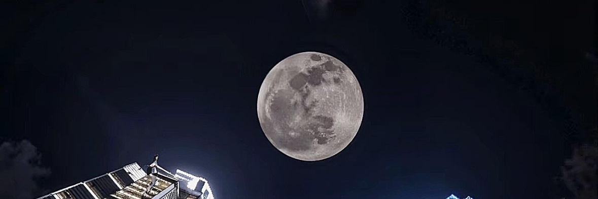 星语星愿 banner