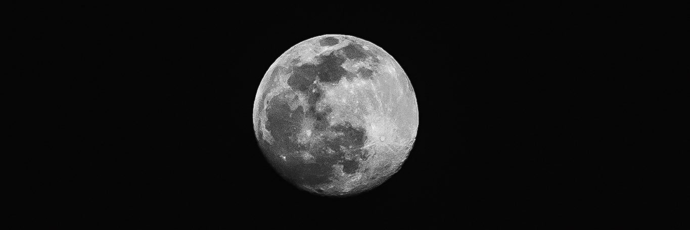 thephilmartinet's profile banner image