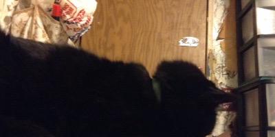 loging34's profile banner image