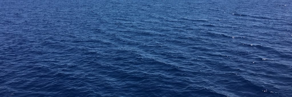 olyavahlova's profile banner image