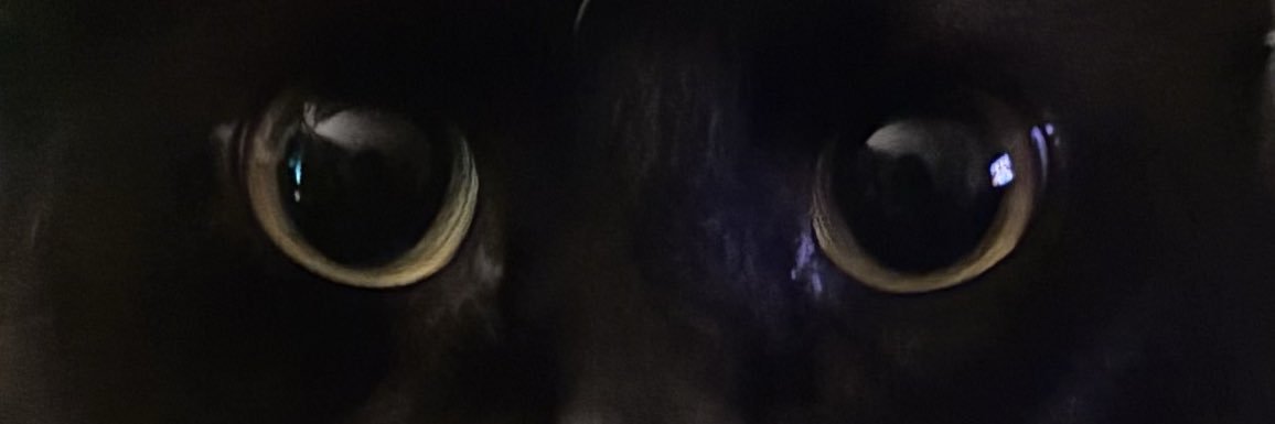 itzelizzy's profile banner image