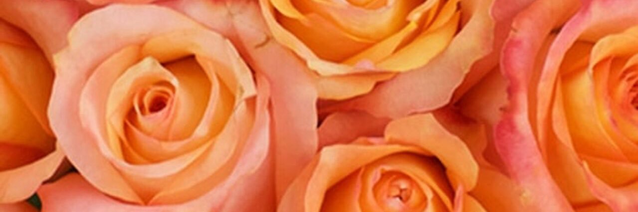 RealDEE_L's profile banner image