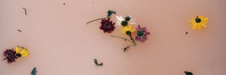 carlalyttle's profile banner image