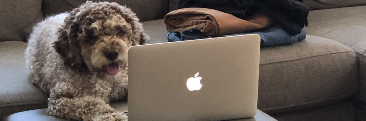 James C. Paine banner