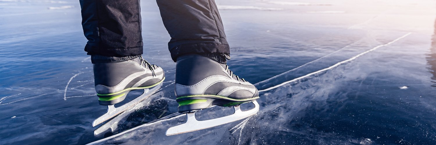 OECD Economics banner