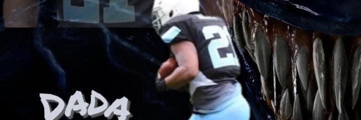 Dadaozonewhite's profile banner image