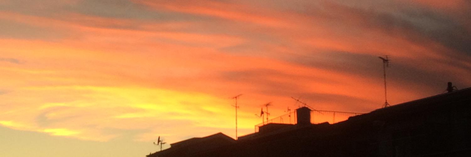 川瀬ゆう子🐾 banner