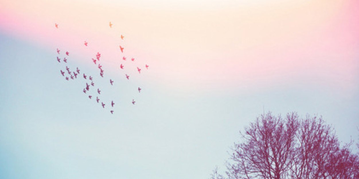 ohlingting96's profile banner image