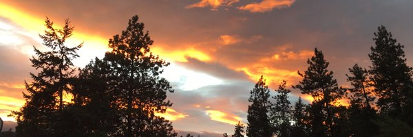 TheDaveCA Profile Banner