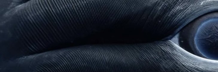 songjack1510's profile banner image