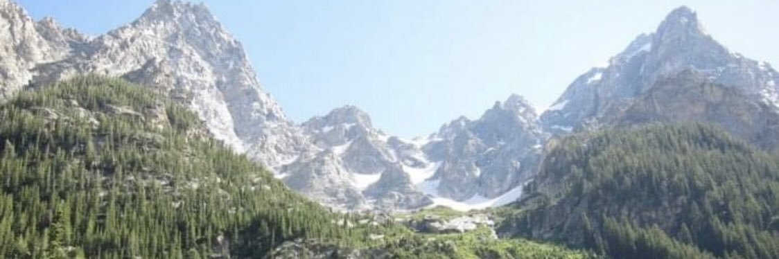 Joe Morales banner
