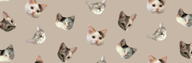 sabrinain_'s profile banner image