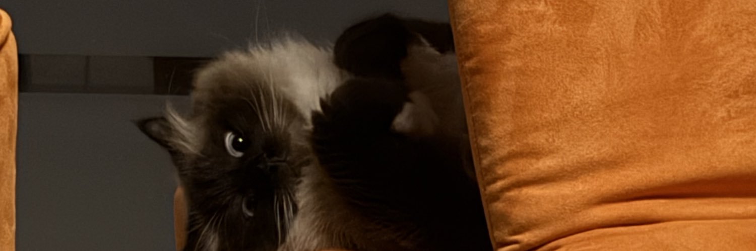 lea⋆✭'s banner