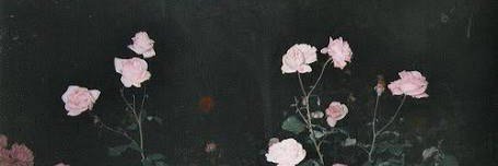 themightygianne's profile banner image