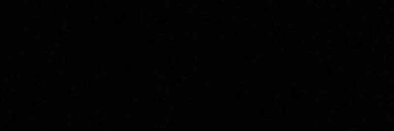 brazilnera's profile banner image