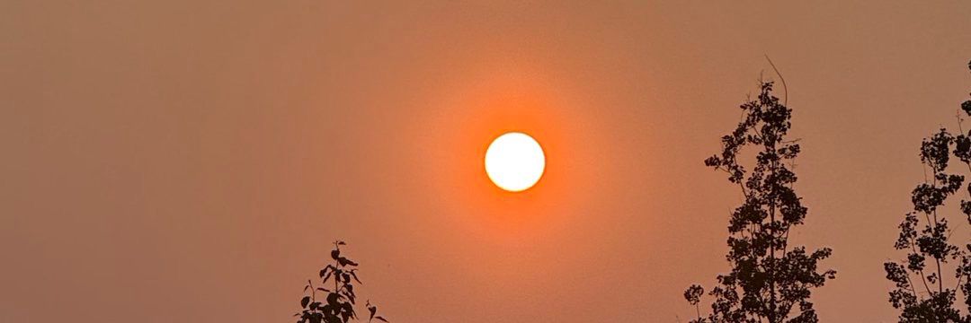 🌴🇮🇹🥵 banner