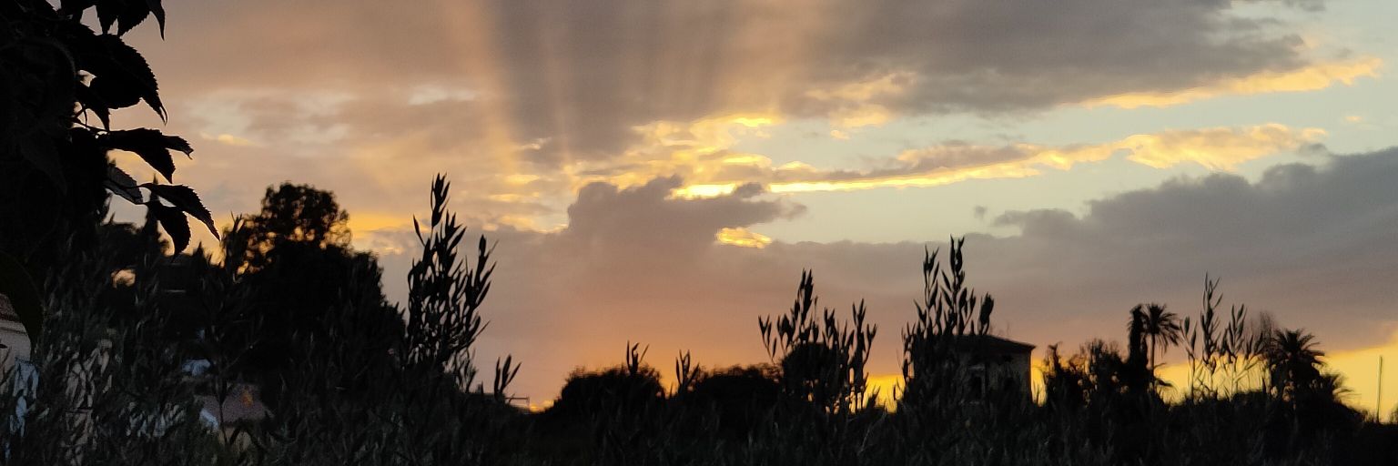 JavyPastor's profile banner image