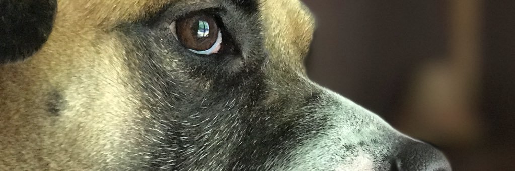 Pc8825's profile banner image