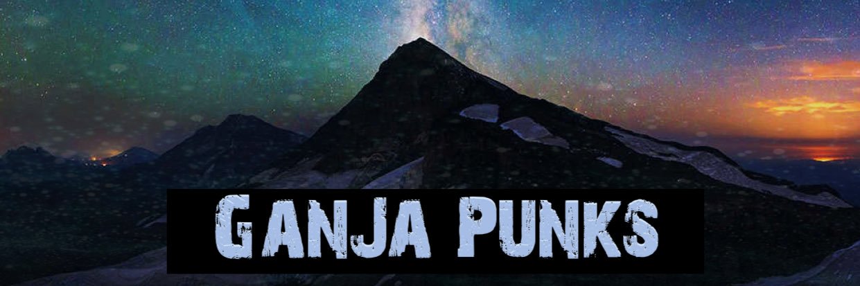 ganjapunks's profile banner image