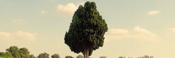 lluisbu's profile banner image