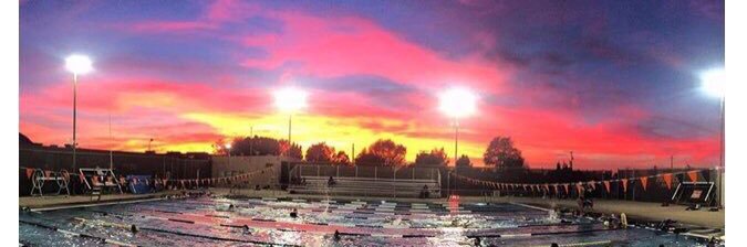 Swimming Wizard banner