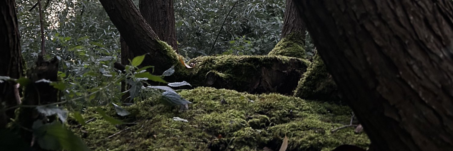 RyanB - Next Gig: Sleep Token banner