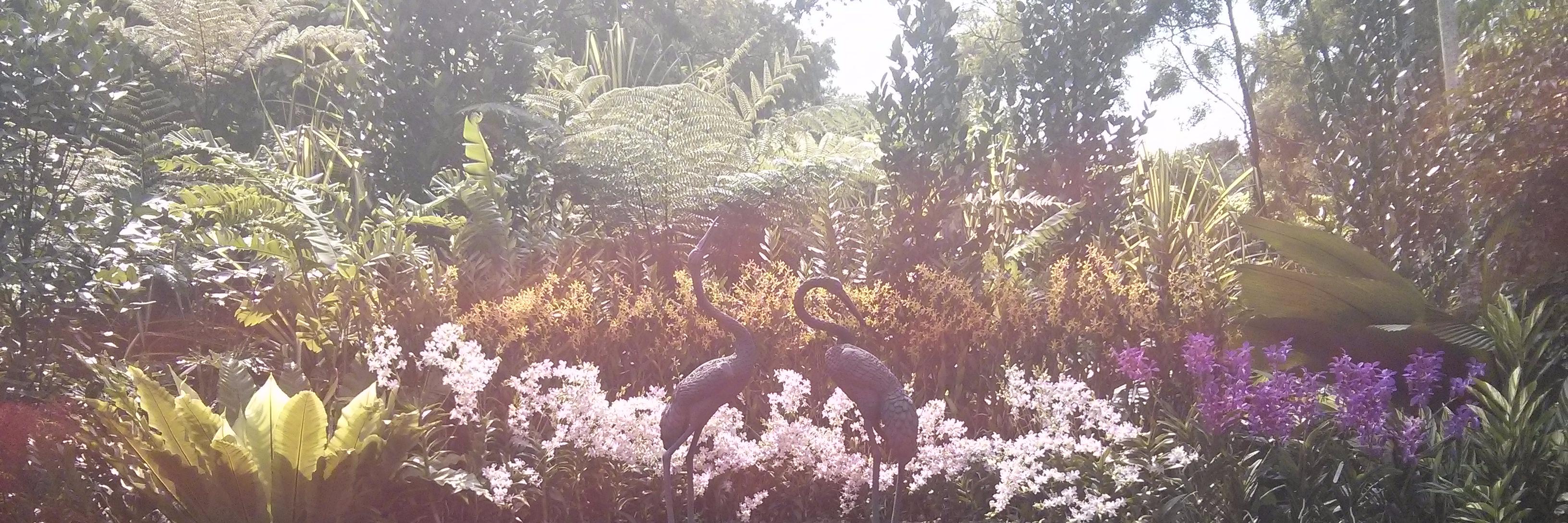 Laura Watkins banner