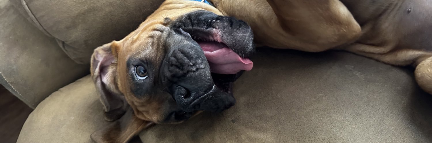 Cathy Mottau🏳️‍🌈✊🟧 banner