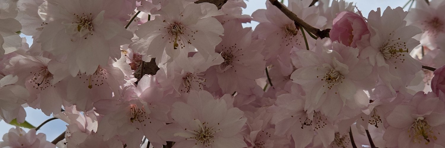 NhonnoonSm's profile banner image