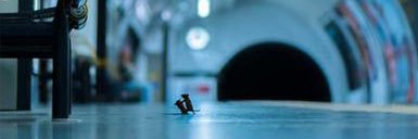 Sam Rowley Photography banner