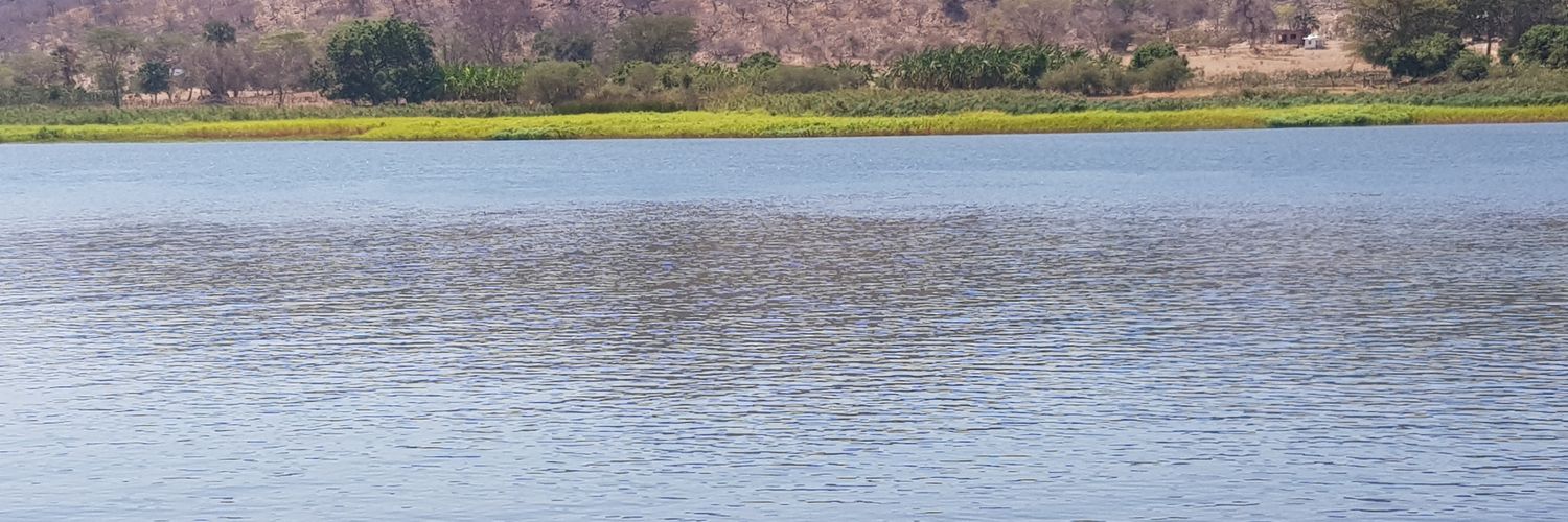 Chisomo Mwanza banner