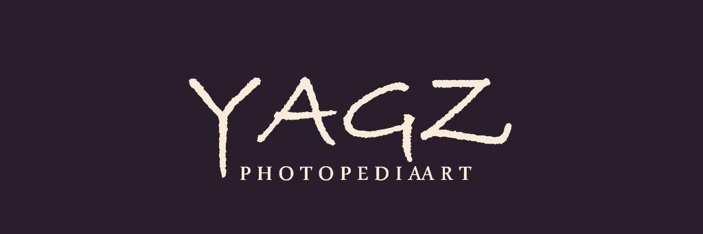 H.B.N.S (HUNGRY BOYS NEVER SATISFIED) banner