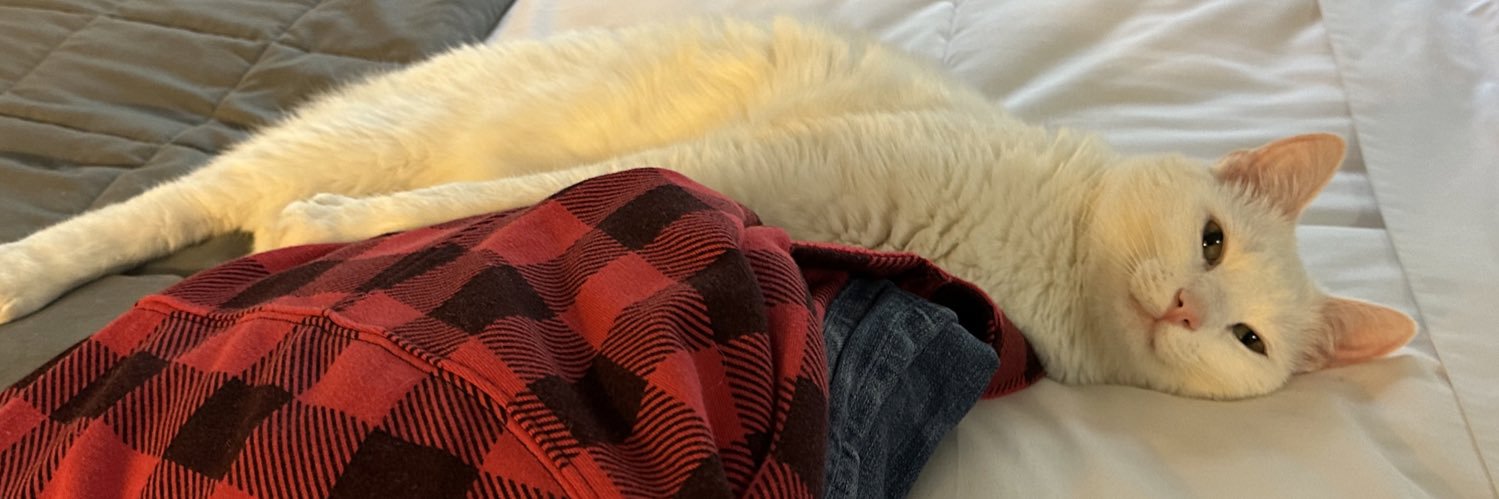 Cuhmitted's profile banner image