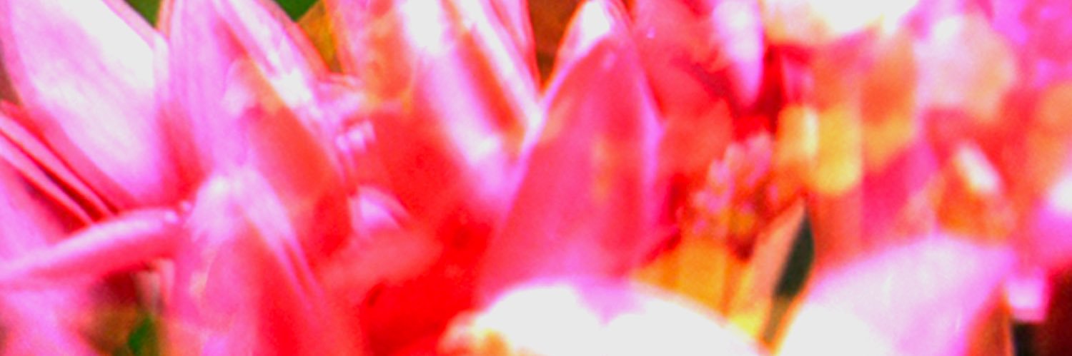 Cullen Robertson banner