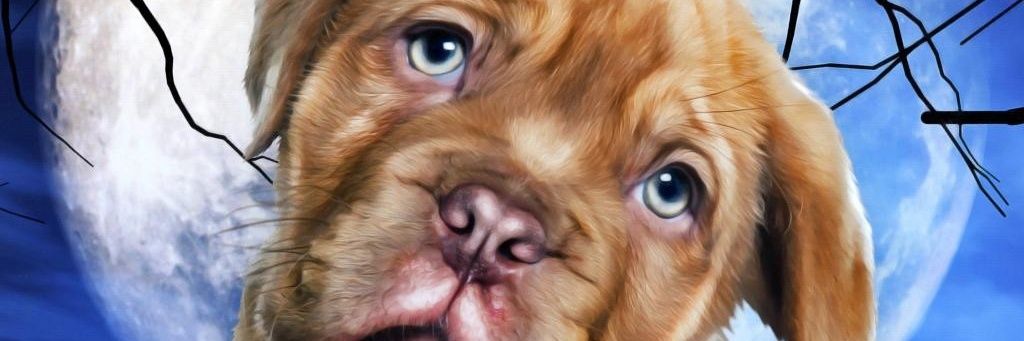ghidalgo_r's profile banner image