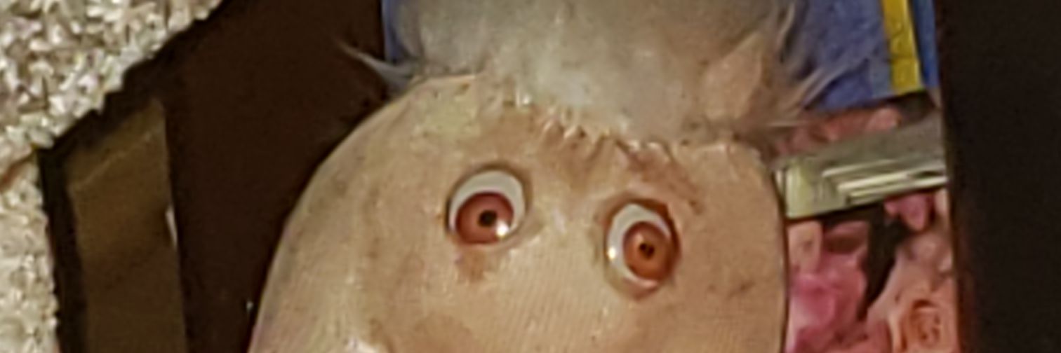 CChit banner