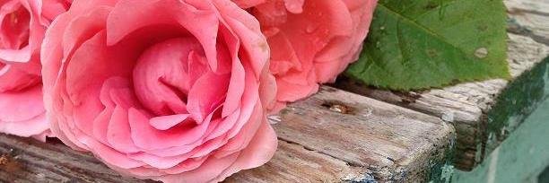 icouldbeDebbie's profile banner image