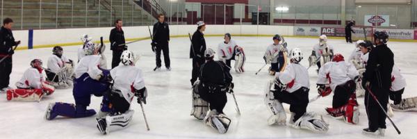 PGDgoaltending Profile Banner