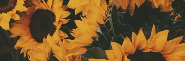 GiulzAntignani's profile banner image