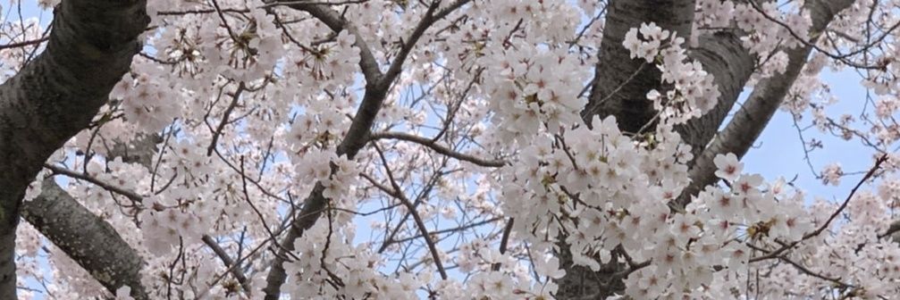kamome0328's profile banner image