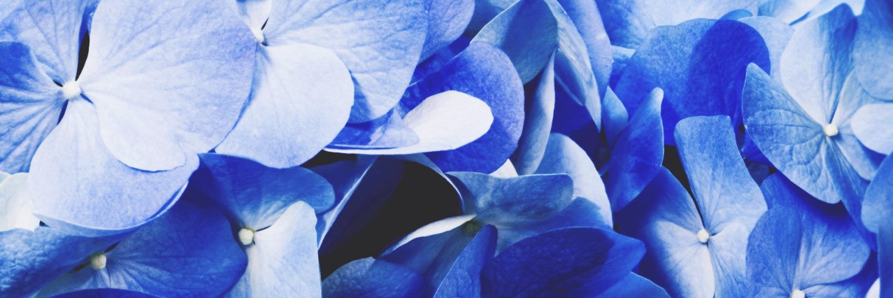 gemirrus's profile banner image