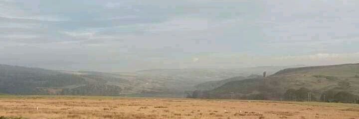 Robbie Lillis banner