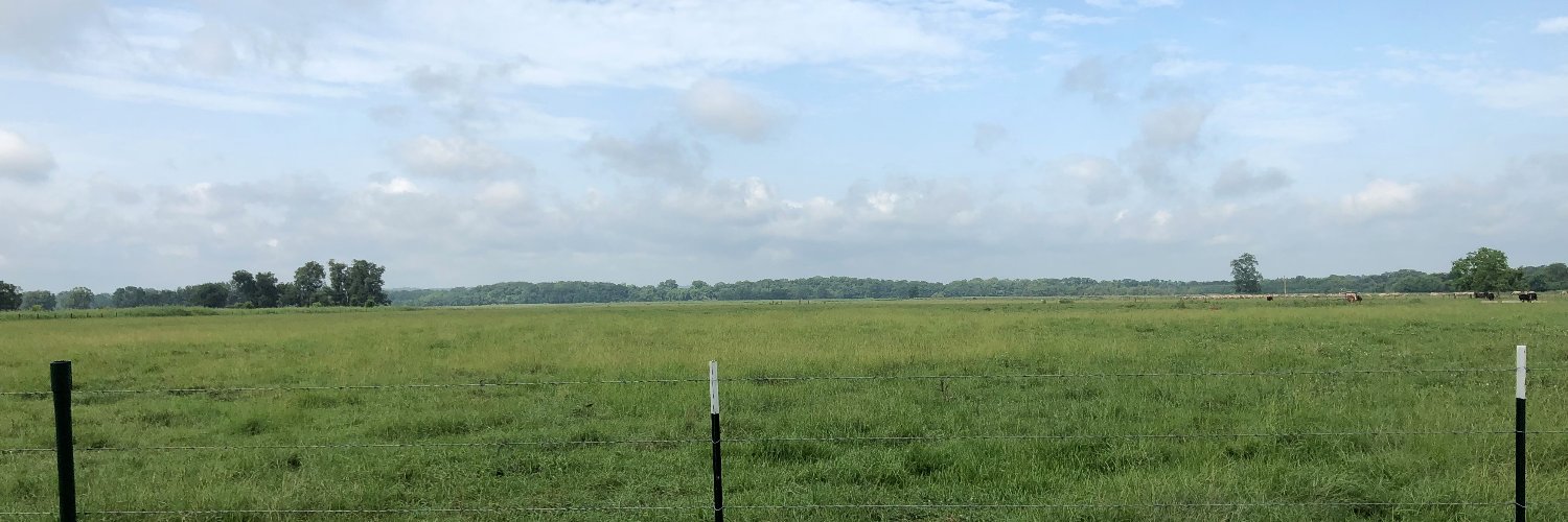 teri schaffer banner