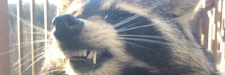 Ericbrosnahan's profile banner image