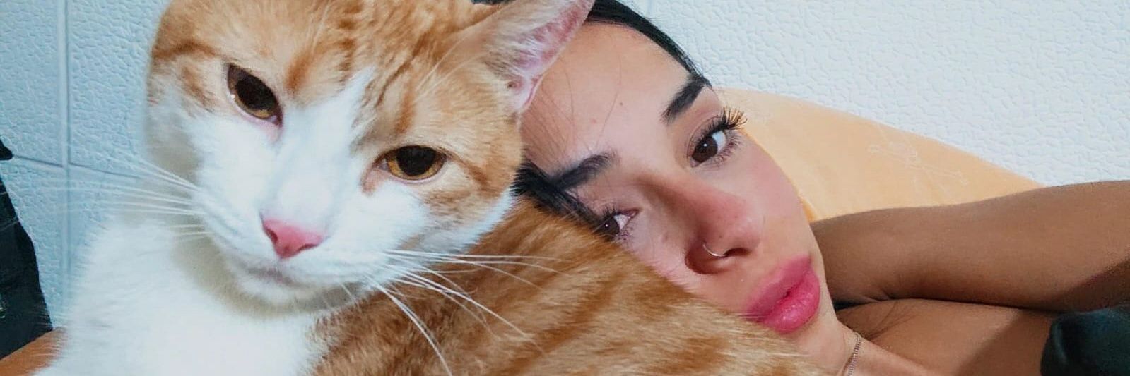 CattaBelu's profile banner image