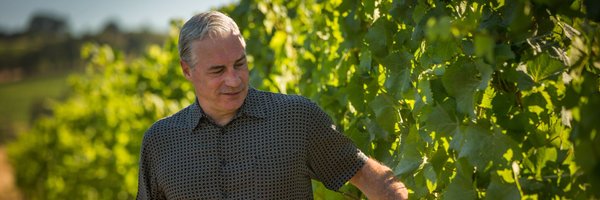 TendrilWines Profile Banner