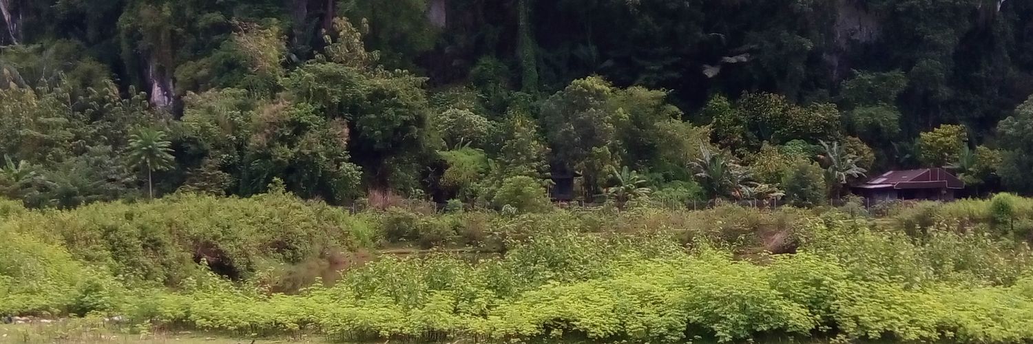 oethink_ansa's profile banner image