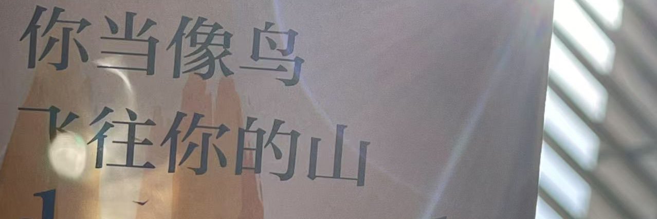陈曦 banner