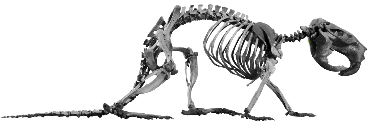 Moore_Museum's profile banner image